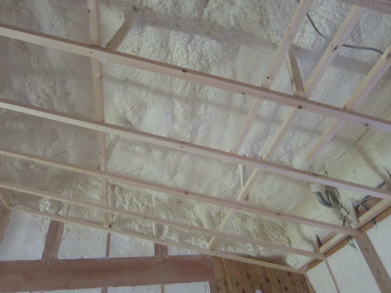 ���t�E���^���t�H�[���̒����C�����f�M�̉�